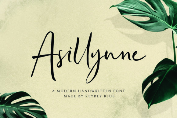 Asillynne Script Font for Editorial Design and Branding