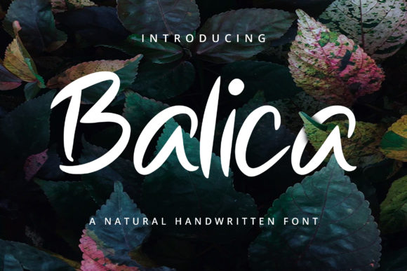Balica: The Trendy Script Font for Cohesive Brand Identity