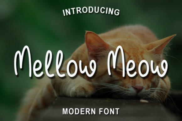 Mellow Meow: The Sweet Script Font for Elegant Brand Identity