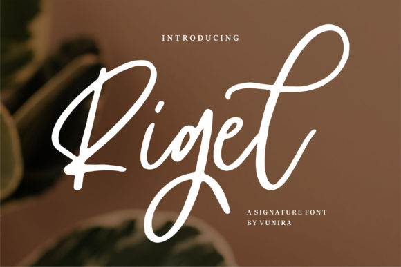 Rigel Brushed Script Font for High-Impact Campaign Design