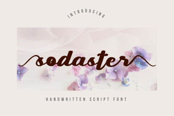 Sodaster Script Font Review: Elegant Branding for Delicate Designs